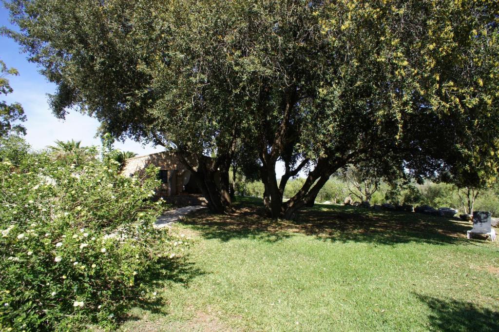 El Encinar De Arta Otel Dış mekan fotoğraf